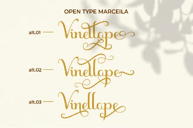 Marceila font