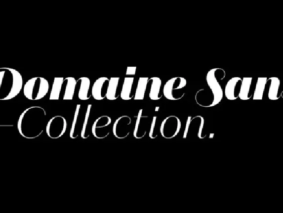 Domaine Sans Family font