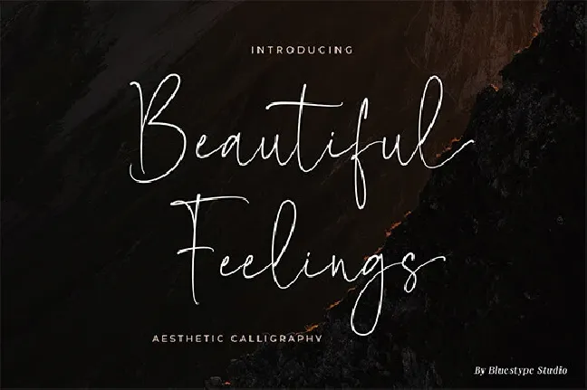 Beautiful Feelings font