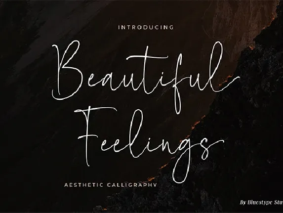 Beautiful Feelings font