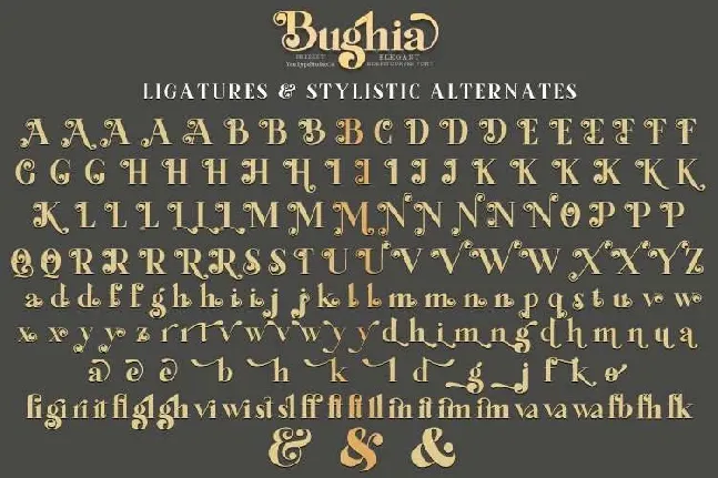 Bughia font