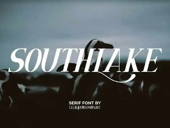 Southlake Demo font