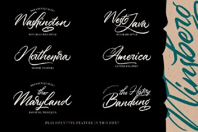 Winsberg Script font