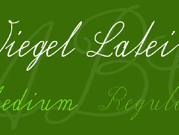 Wiegel Latein font