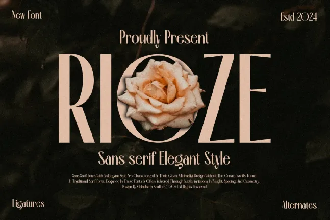 RIOZE font