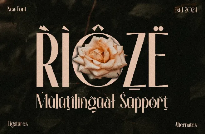 RIOZE font