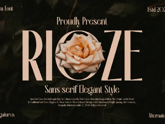 RIOZE font