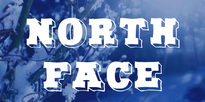 North Face font