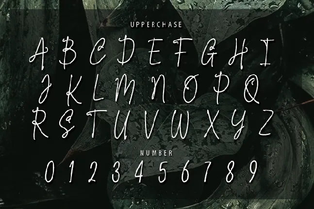 Artecallya font