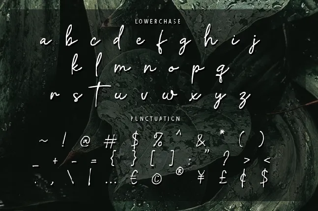 Artecallya font