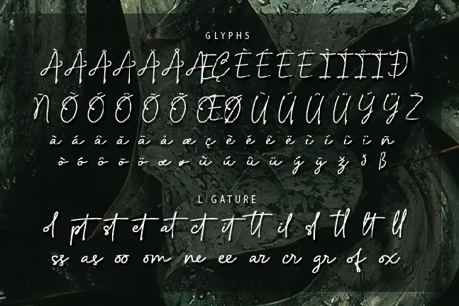 Artecallya font