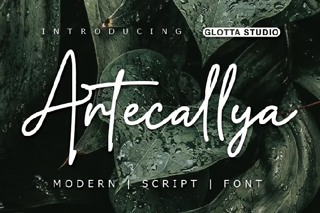 Artecallya font