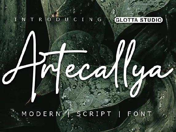 Artecallya font