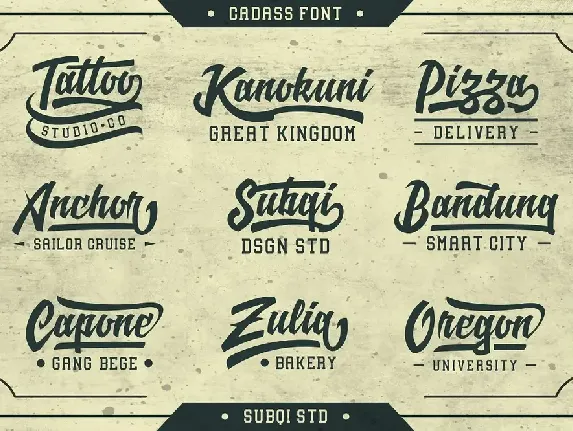 Cadass Script font