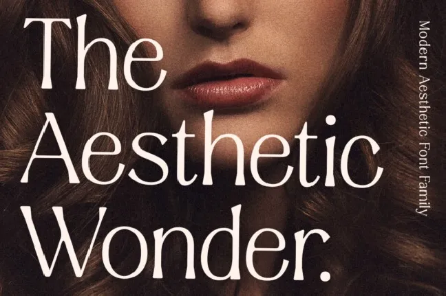 Aesthetic Wonder Family font