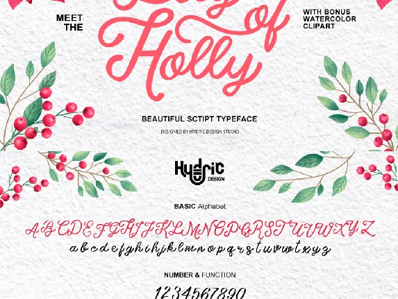 lily of holly DEMO font