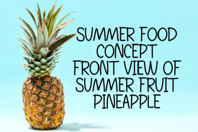 Summer Welcome Display font