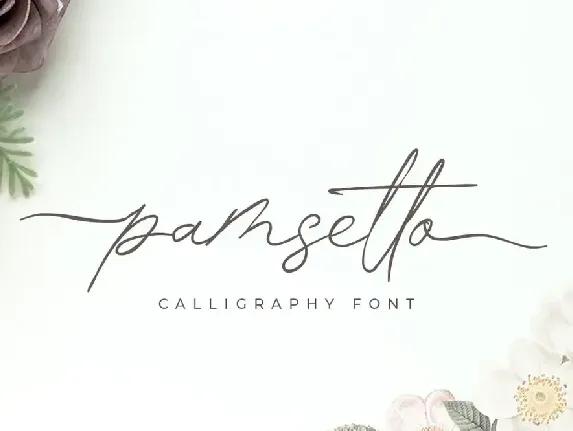 pamsetto font