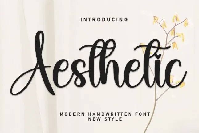 Aesthetic Script font