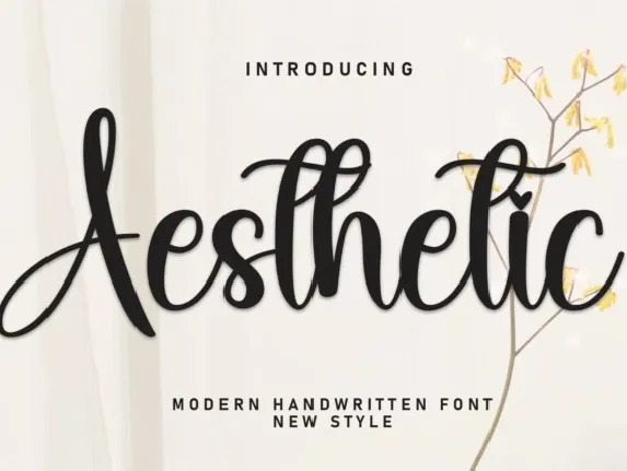 Aesthetic Script font