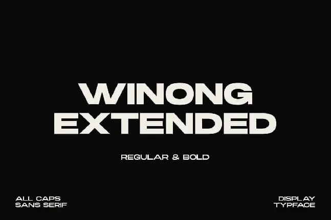 Winong Extended font