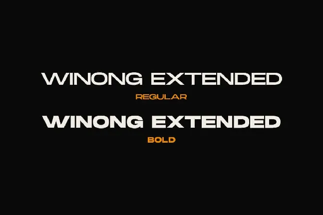 Winong Extended font