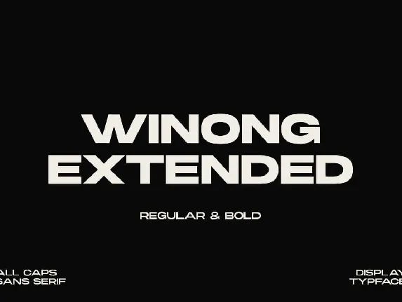 Winong Extended font