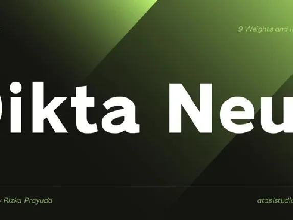 Dikta Neue font