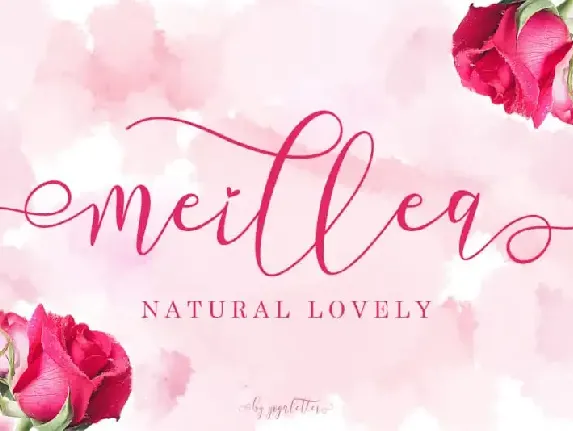 Meillea Calligraphy font