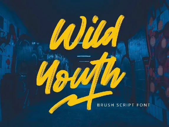 Wild Youth font