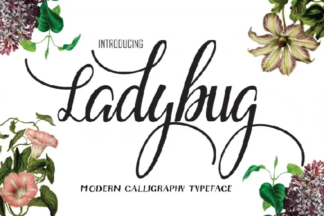 Ladybug Free font