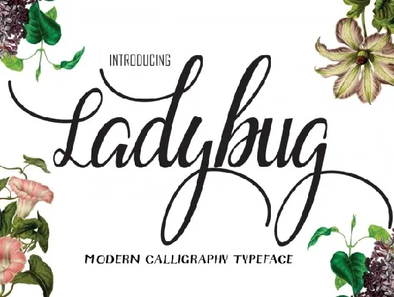 Ladybug Free font