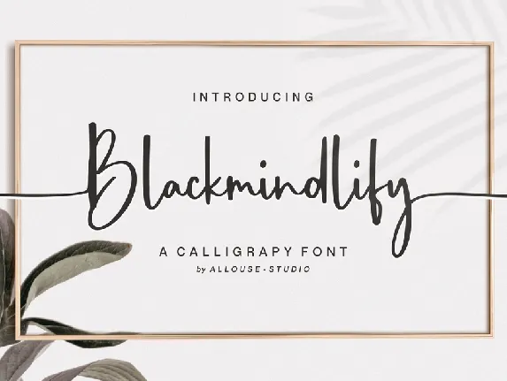 Blackmindlify font