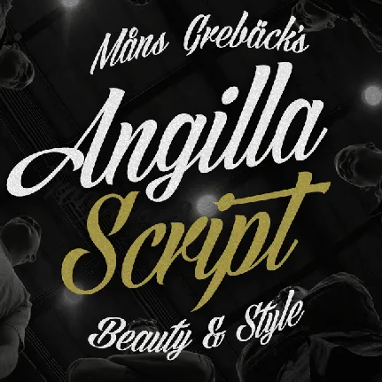 Angilla Script PERSONAL USE font