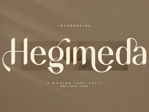 Hegimeda font