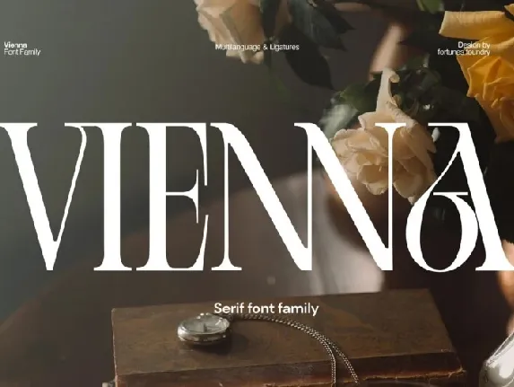 Vienna Typeface font