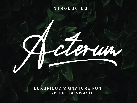 Acterum Signature font