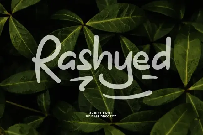 Rashyed Display font