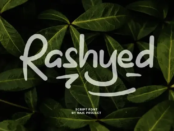 Rashyed Display font