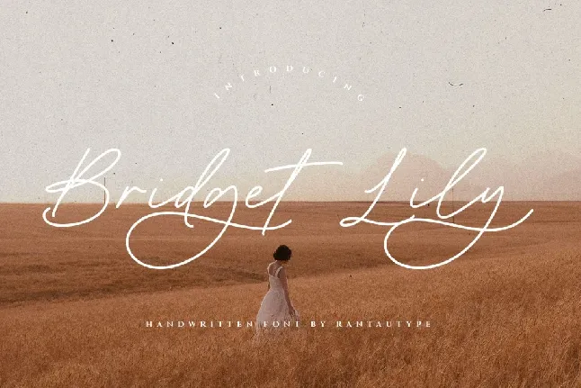 Bridget Lily font