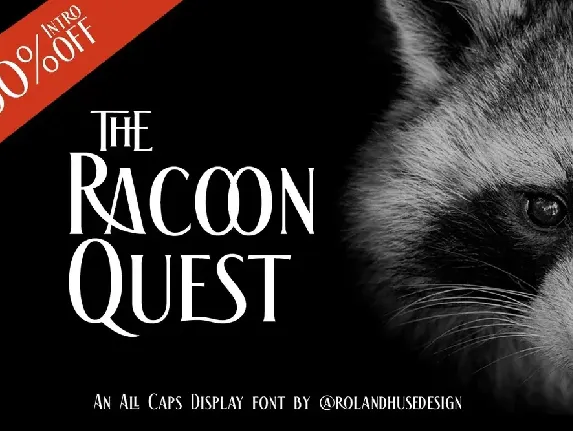 The Racoon Quest font