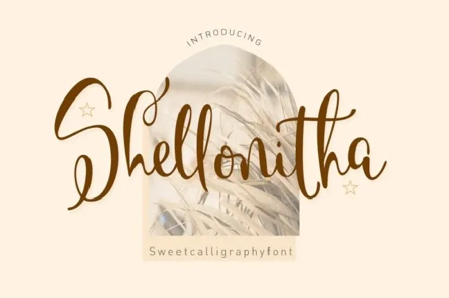 Shellonitha Script font