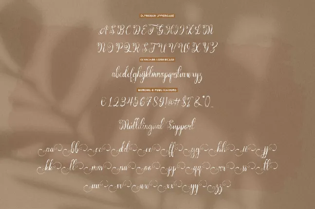 Olynchan font