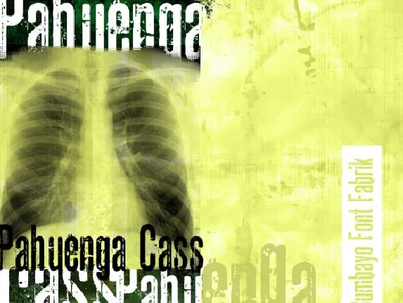 Pahuenga Cass font