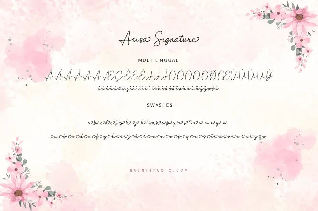 Anisa Signature font