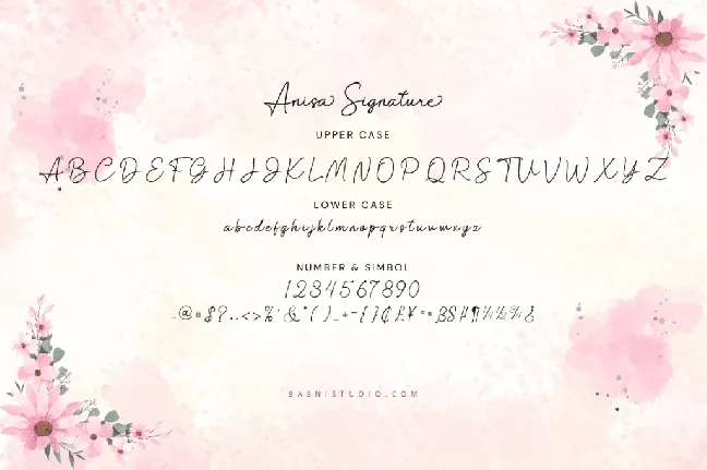 Anisa Signature font