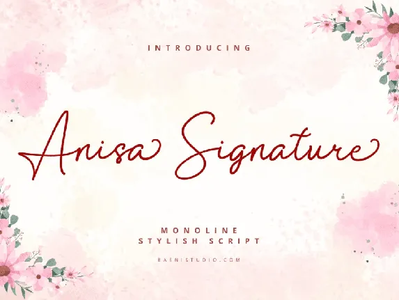 Anisa Signature font