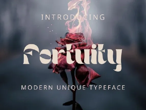 Fortuity font