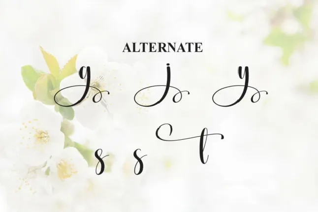 Sweety Jasmine Calligraphy font