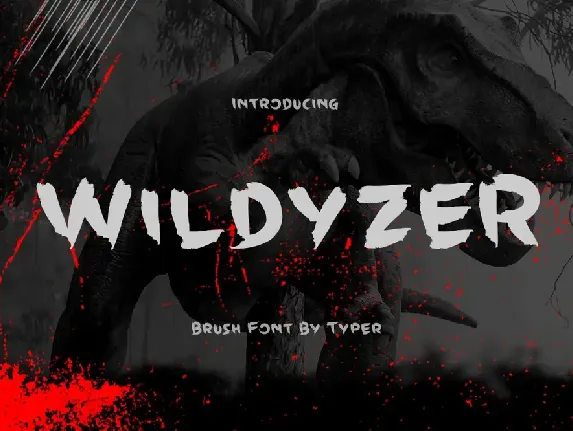 Wildyzer font